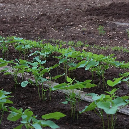 Penzion And By The Sea - 7132 3*