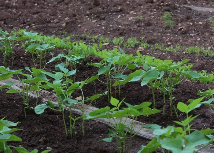 Penzion And By The Sea - 7132 3*